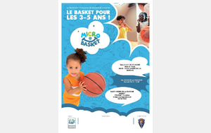 Micro Basket